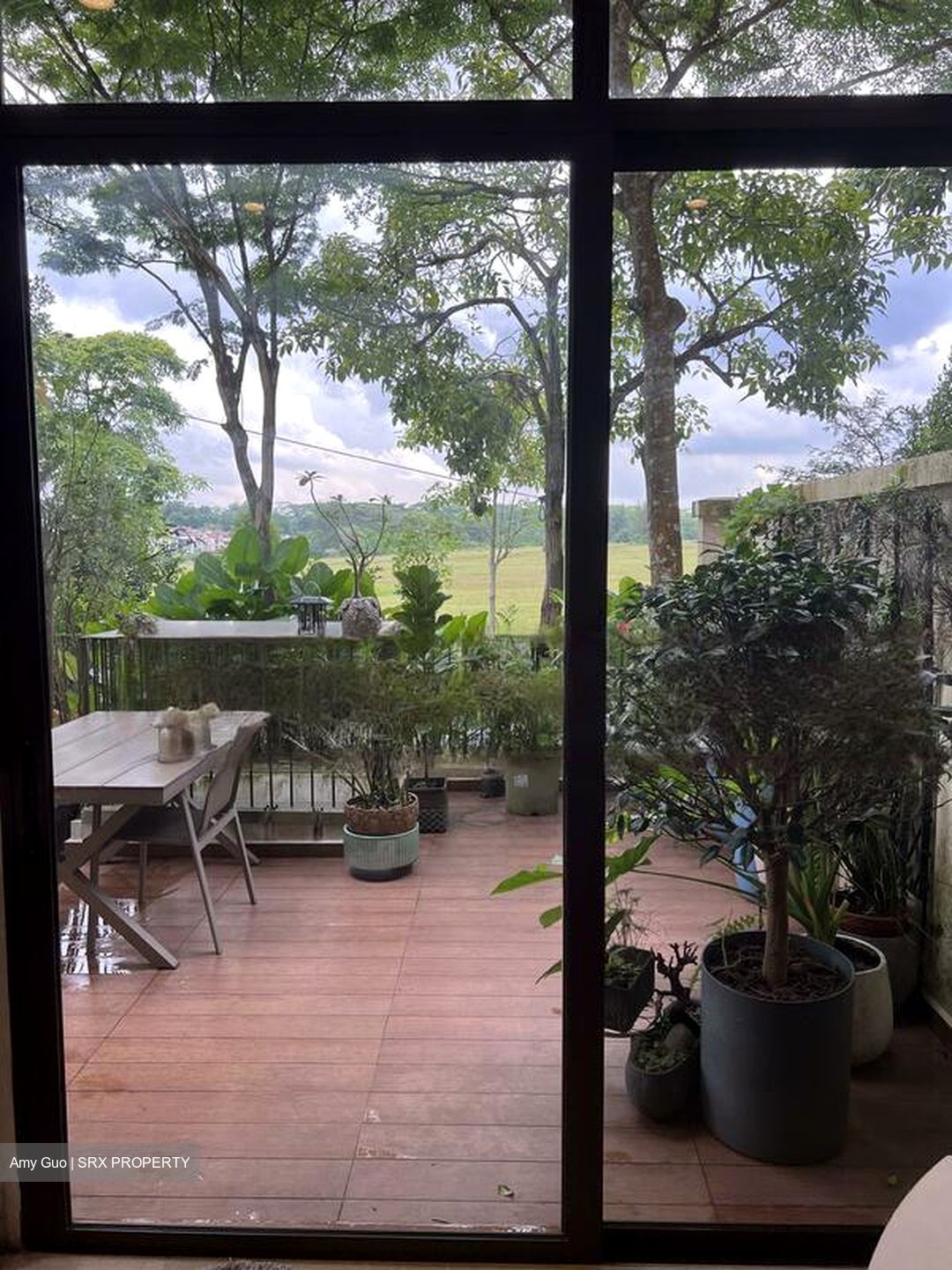 Holland Link (D10), Terrace #461061021